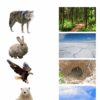 Cahier de vacances Hiver -18-36 mois