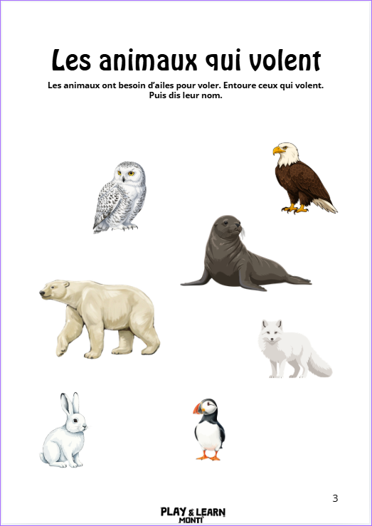 hiver 5 Cahier de vacances d'hiver 3-5 ans