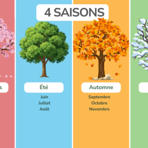 Les 4 saisons