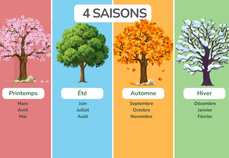 image 4 saisons Les 4 saisons